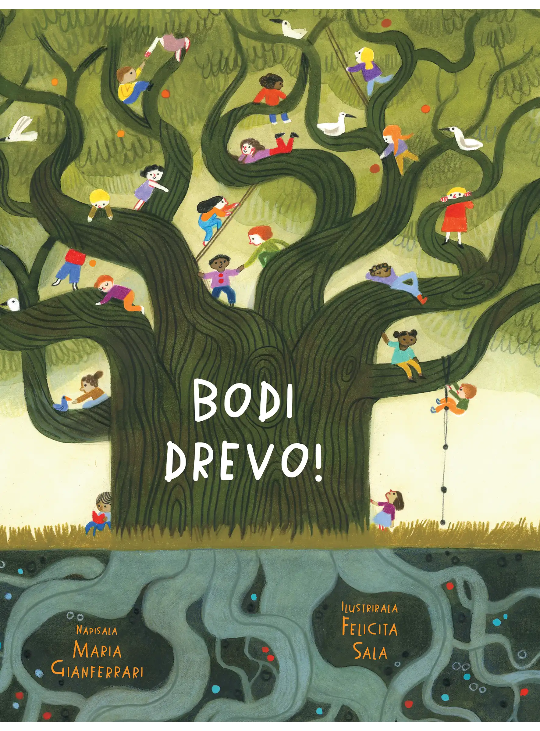 BODI DREVO