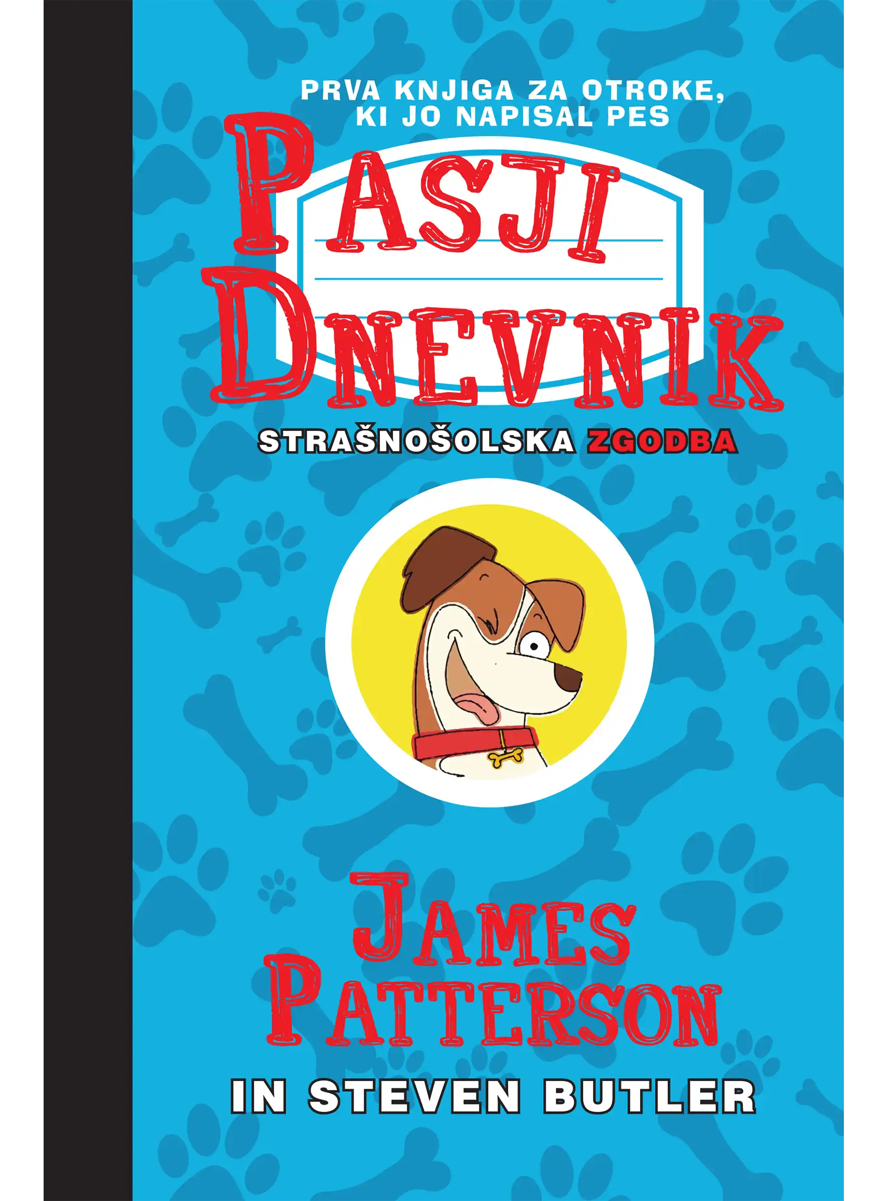 PASJI DNEVNIK