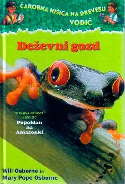 DEŽEVNI GOZD